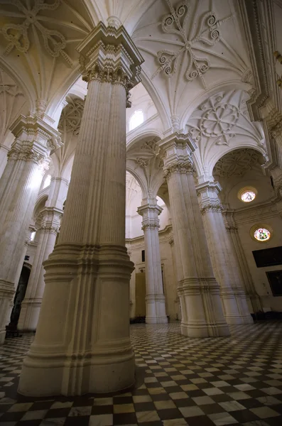 Cathedral of Granada — Stock Photo, Image