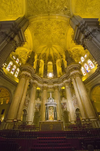 Catedral de Málaga — Foto de Stock