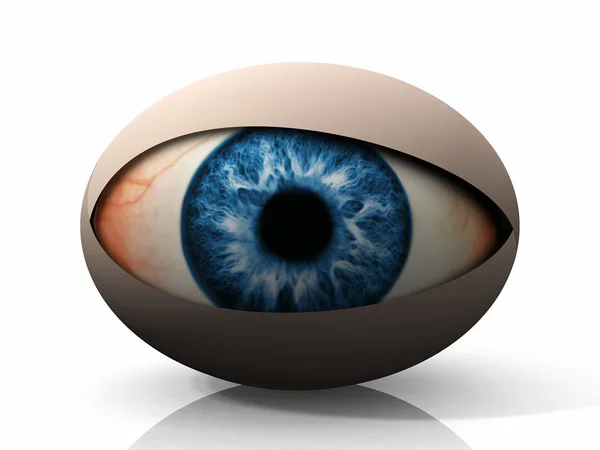 Concept of an eye on a white background — Stock Photo, Image