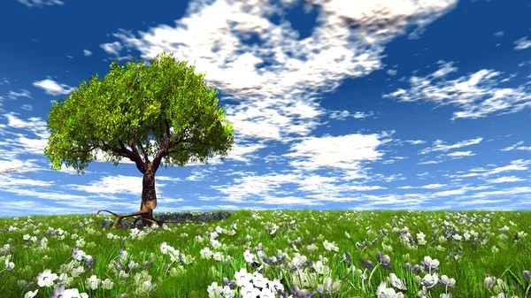 Een groene boom in een veld — Stockfoto