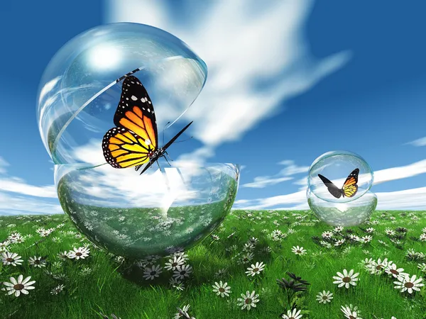 Butterfly in a bubble in the meadow — Stock Photo, Image