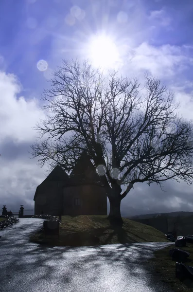 The castle and the tree — Stock Photo, Image