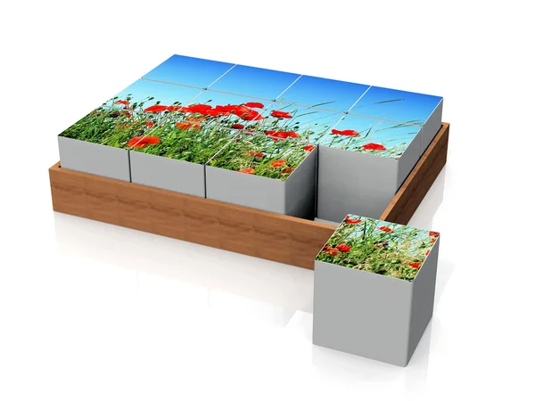 Many cubes with red poppies — Stock Photo, Image