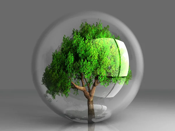 A green tree in a transparent bubble — Stock Photo, Image