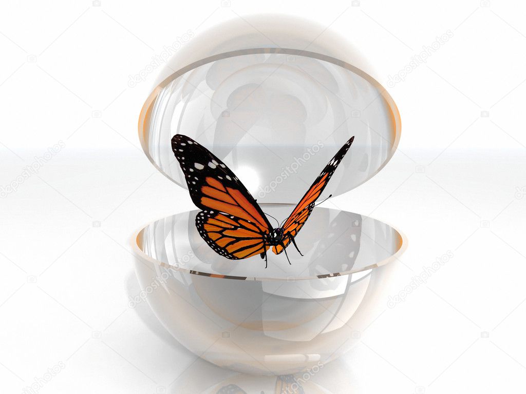 The beautiful butterfly in a open bubble