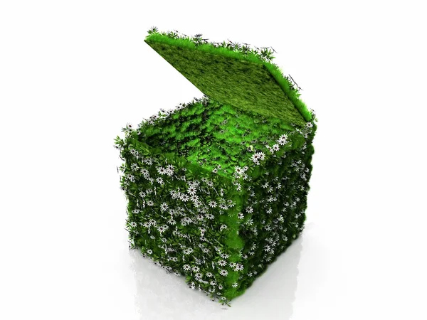 Cubo aberto com grama e flores — Fotografia de Stock