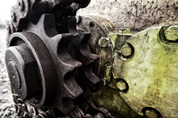 Gear wheel — Stockfoto