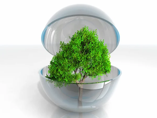 A green tree in a transparent bubble — Stock Photo, Image