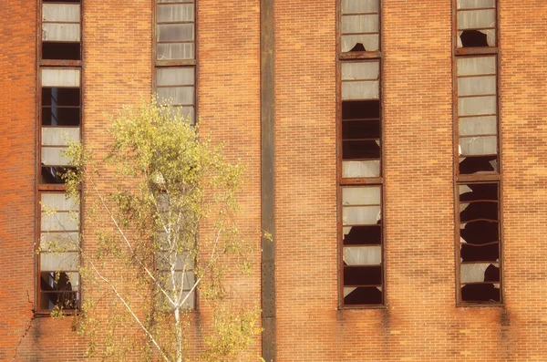 Vintage brick wall — Stock Photo, Image