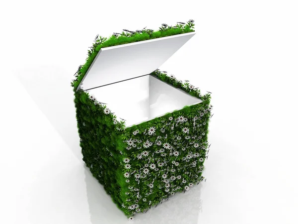Cubo aperto con erba e fiori — Foto Stock