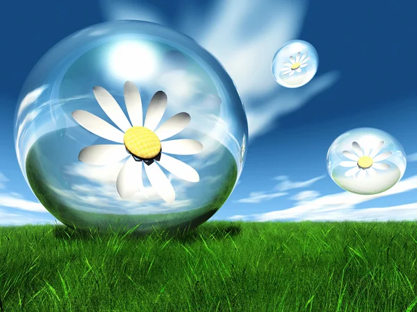 Flowers in a bubble in the meadow — Stock Photo, Image