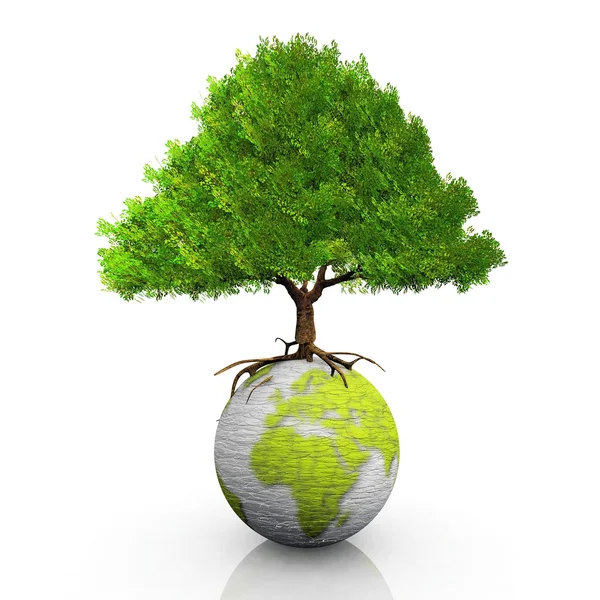 Зеленая Земля и зеленое дерево — стоковое фото