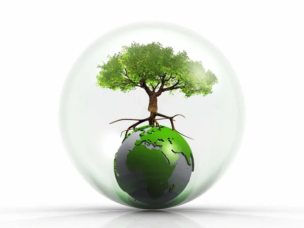 Tree on the earth in a bubble — Stock Photo, Image