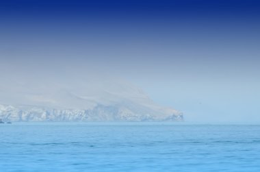 Bay paracas
