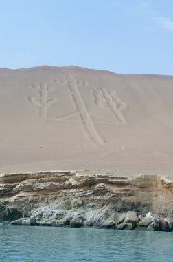 Şamdan paracas