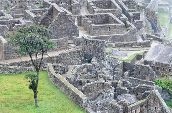 The machu picchu — Stock Photo, Image