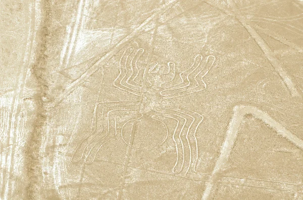 Los geoglifos araña de Nazca —  Fotos de Stock