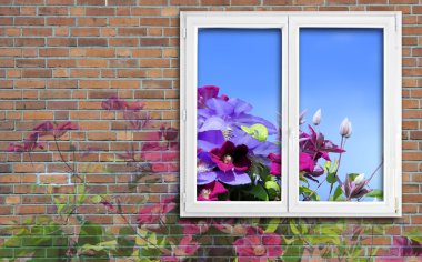 Pencere ve çiçekler