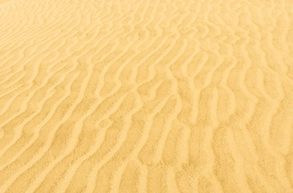 Dunas de cerro blanco — Fotografia de Stock