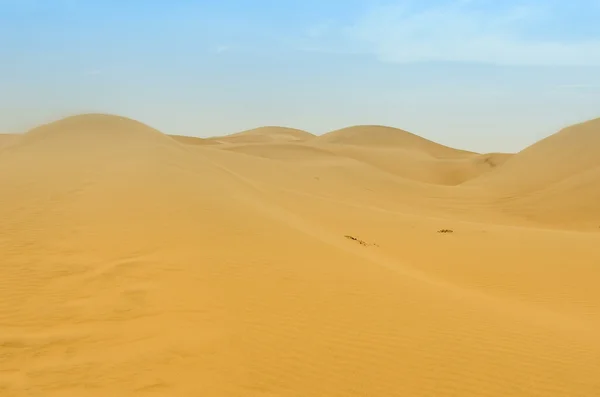 雷山 blanco 的沙丘 — 图库照片