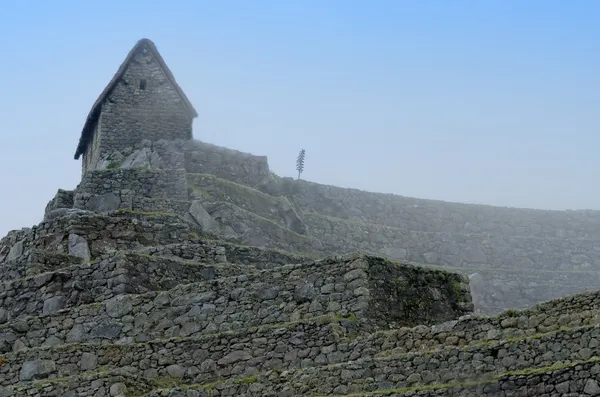 Le machu picchu — Foto de Stock