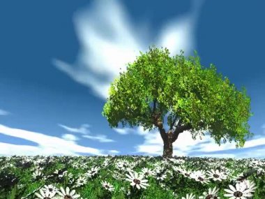 ot, ağaç ve çiçek alan