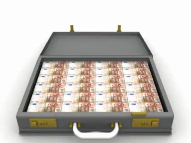 Euro ve evrak çantası