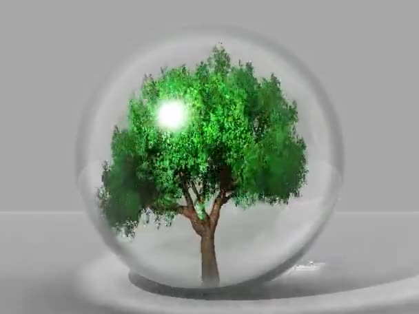 Árbol en una burbuja — Vídeos de Stock