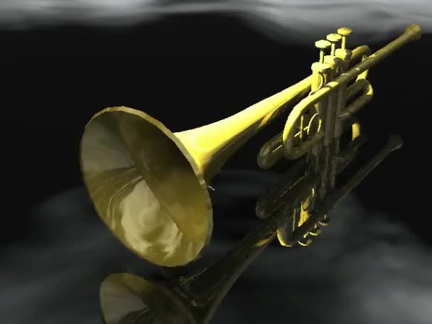 The trumpet — Stock Video