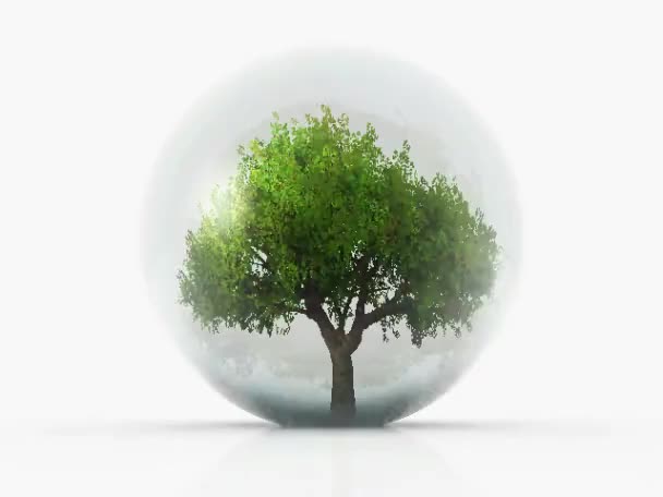 Arbre dans une bulle — Video