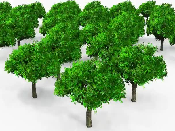 arbres verts