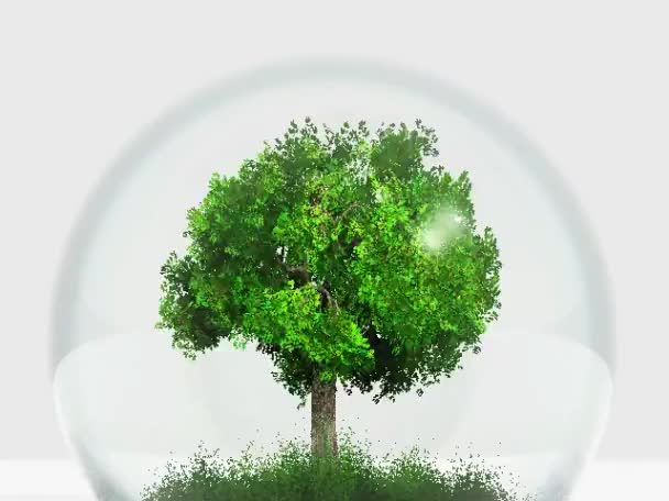 Büyüyen ağacı — Stok video