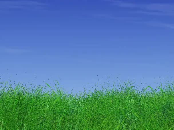 Campo verde e cielo blu — Video Stock