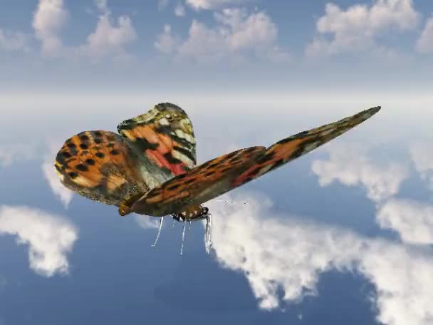 Kelebek — Stok video