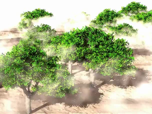 Träd under molnen — Stockvideo