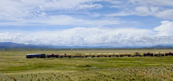페루 altiplano — 스톡 사진