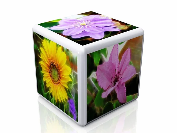 Cubo e flores fotos — Fotografia de Stock
