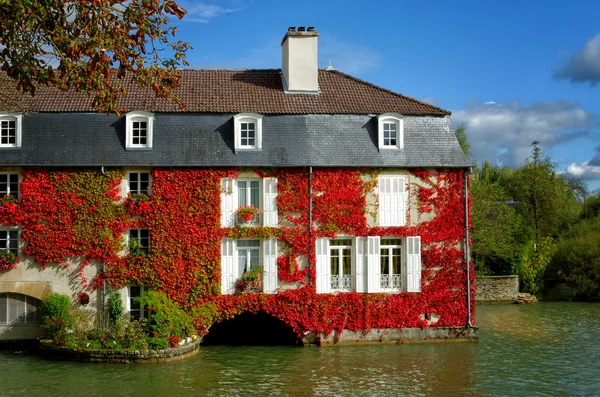 Herbst Weinberg und Fassade — Stockfoto
