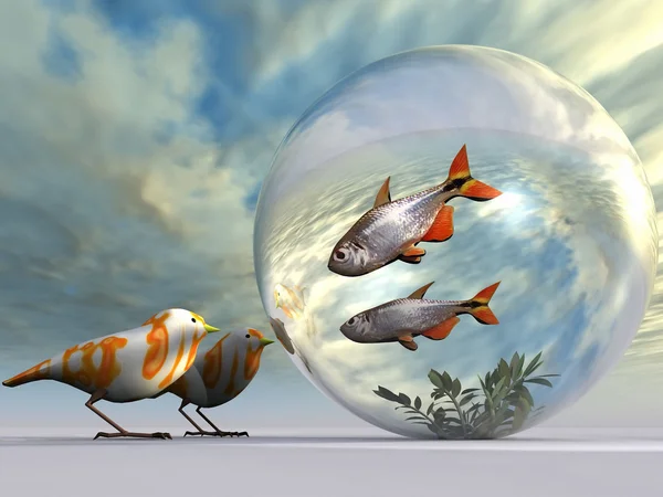 Fish and the birds — Stock Photo, Image