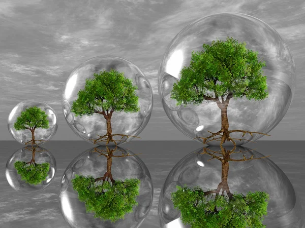 Bäume in Blasen — Stockfoto