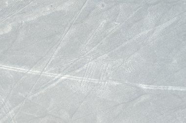 nazca belirtileri