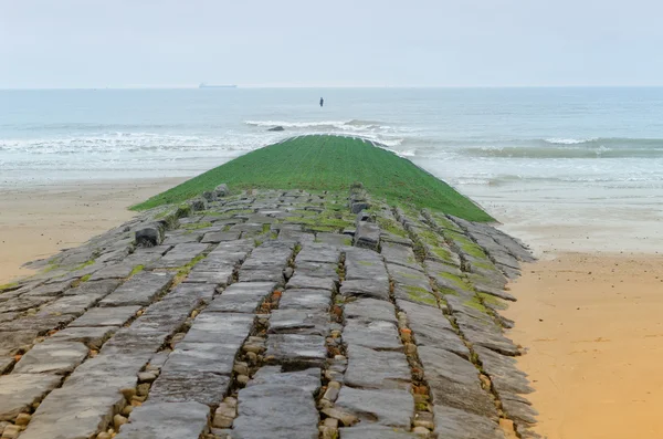 De weg naar de zee — Stockfoto