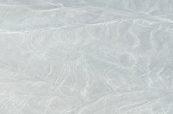 Semne de Nazca — Fotografie, imagine de stoc