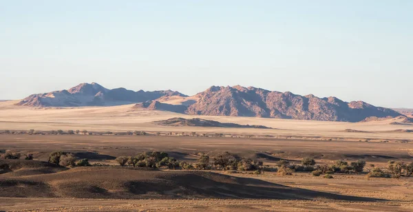 Akacje Góry Pustyni Namib — Zdjęcie stockowe