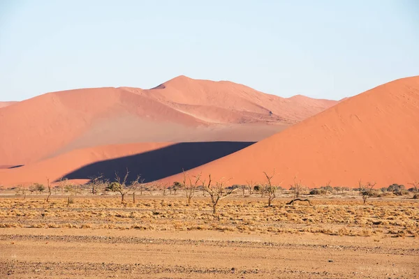 Červené Písečné Duny Namibii — Stock fotografie