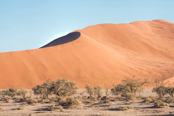ナミビアの赤い砂丘 — ストック写真