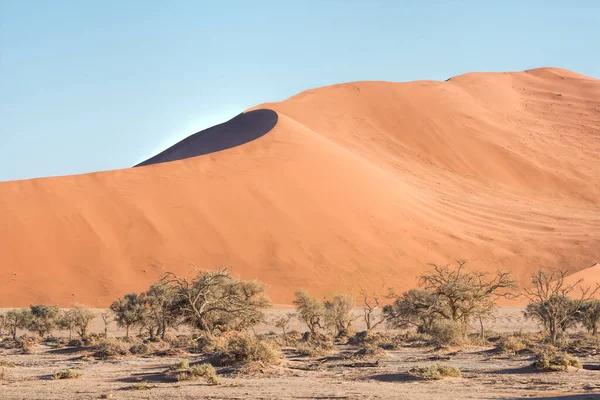 Dune Sabbia Rossa Namibia — Foto Stock