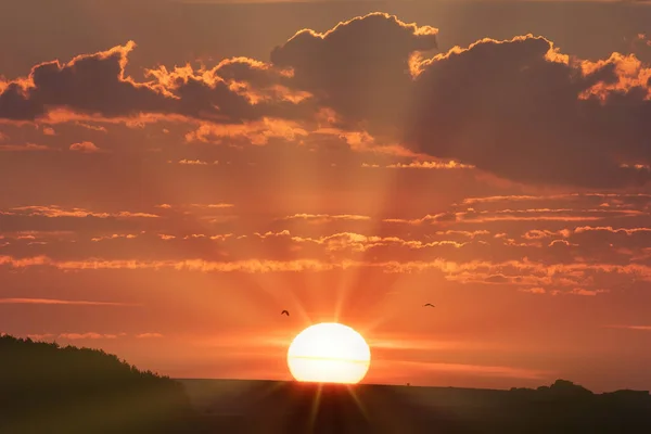 朝の太陽と太陽の光 — ストック写真