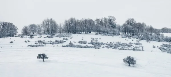 Λόφος Και Δέντρα Κάτω Από Χιόνι — Φωτογραφία Αρχείου