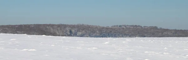 Colline Arbres Sous Neige — Photo